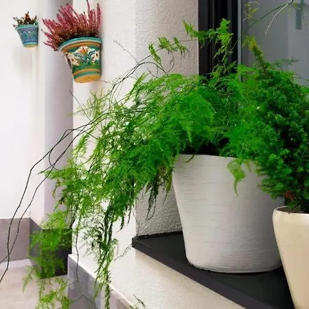 Riazor Apartamento *